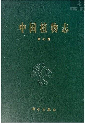 药王茶文献记载.png